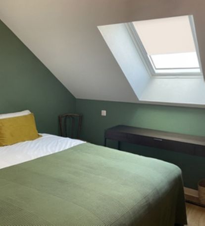  Tende per velux® Termiche - Ignifugo 🔥 